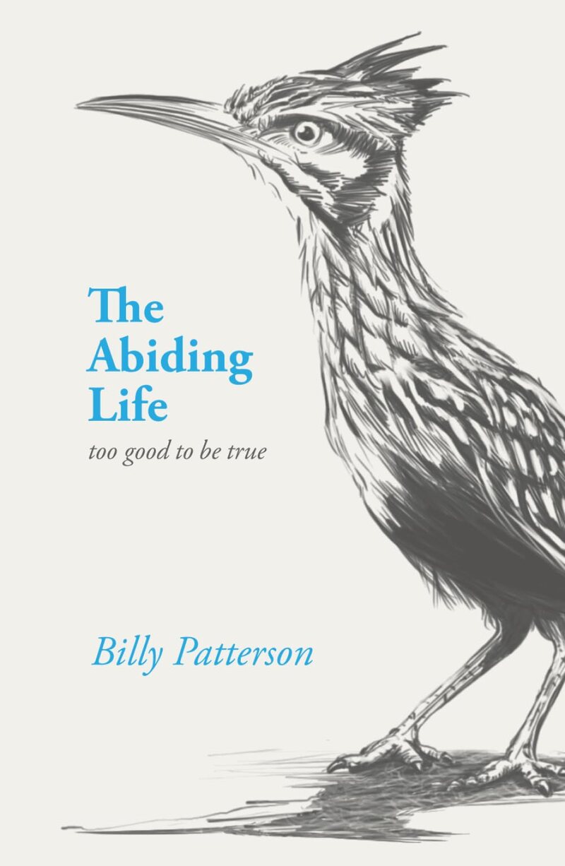 Cover of The Abiding Life: too good to be true by Billy Patterson
